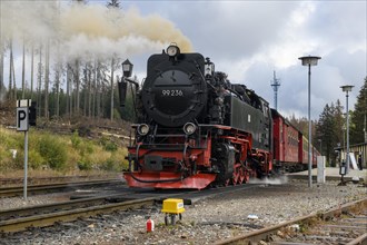 Smoking steam locomotive from Brockenbahn in the Harz Mountains