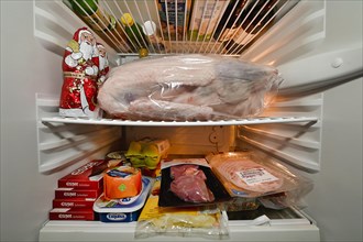 Bulging refrigerator with goose