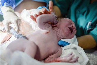 Newborn baby boy still with umbilical cord connecting him with mother