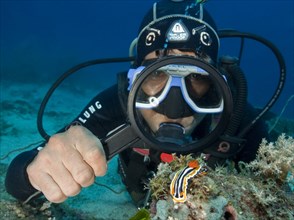 Diver looking with a magnifying glass at a pajama star snail