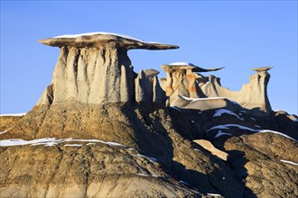 Bisti Badlands