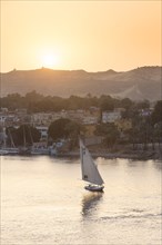 Feluccas on the river Nile at sunset