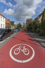 Red marked bicycle road