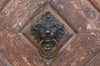 Brass lion head as a door knocker on a historical entrance gate