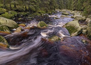 Autumn at the Vydra with huge boulders in the riverbed