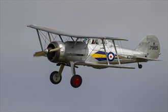 Gloster Gladiator aircraft in flight in Royal air force markings