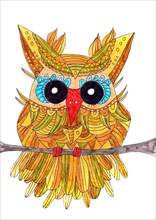 Painted owl