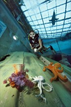 Diver in indoor diving pool