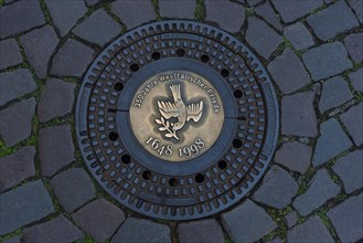 Manhole cover with peace dove