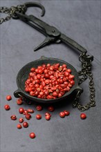 Red pepper in weighing pan