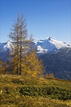 Autumnal mountain landscape with larches