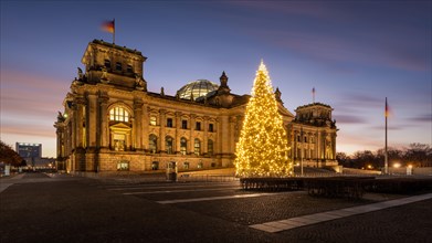 Christmas tree at the Reichstag in the government district at sunrise