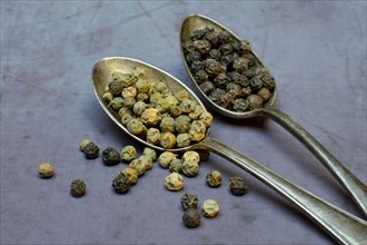Peppercorns in spoon