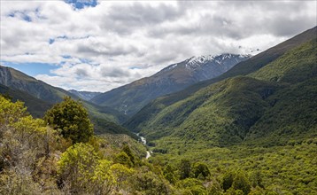 View of mountains and forest with Haast River
