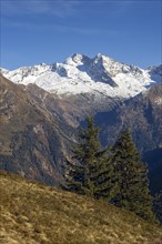 Olperer in the Zillertal Alps