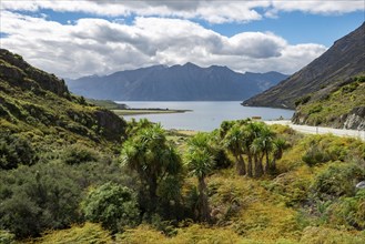 View of mountains and Lake Hawea with palm trees