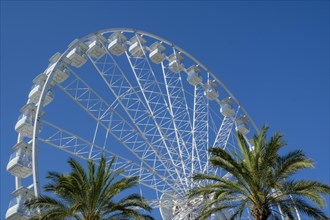 Ferris wheel at Porto Antico harbour