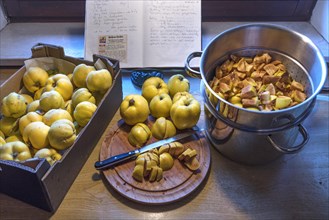 Preparation of quince jelly