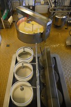 Large cheese maker and press moulds