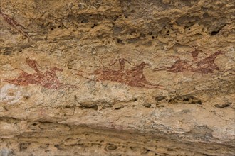Rock painting in the Unesco world heritage