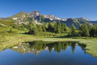 Chalberboden View of Schwarzhorn