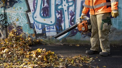 Removal of autumn leaves with a leaf blower