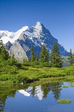 Eiger and mountain lake