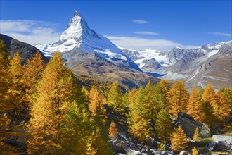 Matterhorn and larch