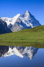 Eiger and Moench