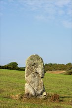 Menhir de la Pierre-Fichade near Champeix village