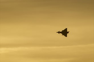 Eurofighter Typhoon aircraft in flight of the Royal air force at sunset