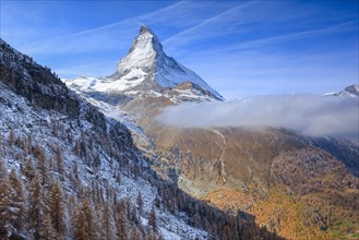 Matterhorn and larch