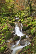 Twannbach Gorge