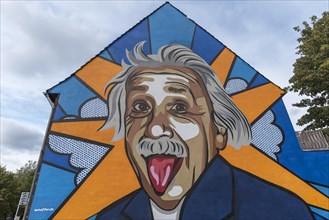 Graffiti by Albert Einstein on a house wall by the company lackaffen.de in Muenster