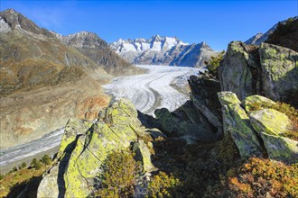 Great Aletsch Glacier and Wannenhorns