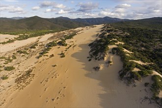 Sand dunes Dune di Piscinas