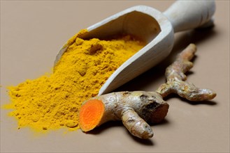 Turmeric-powder in shovel and root