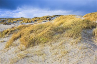 Sand dune island dune