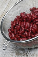 Red kidney beans in sieve