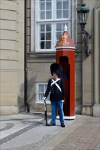 Guard at Amalienborg Castle