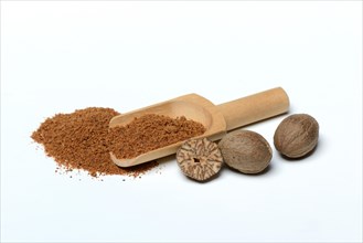 Nutmegs and nutmeg powder in scoop