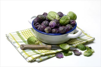 Purple and green Brussels sprouts in a bowl