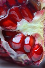 Pomegranate seeds in fruit