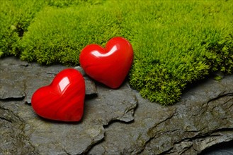 Hearts on moss cushion