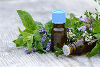 Herbs and herbal oil