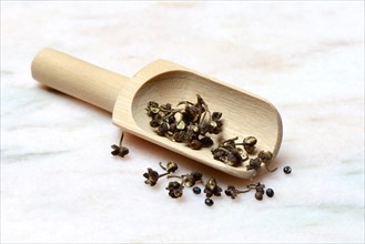 Wild Andaliman pepper in wooden shovel