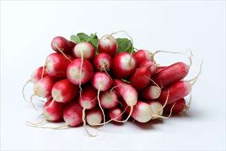 Bunch red-white Red Radish