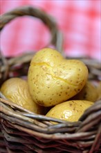 Boiled potato in basket