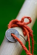Chinese lucky coins on bamboo
