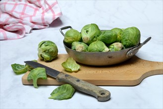 Brussels sprouts in a bowl with kitchen knife